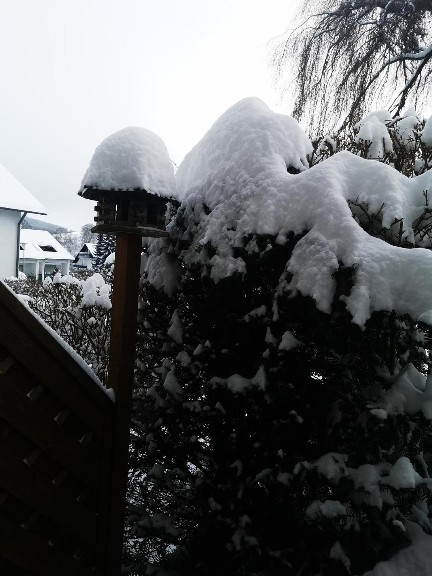 Fewo Kuhlmann Willingen  Exterior foto